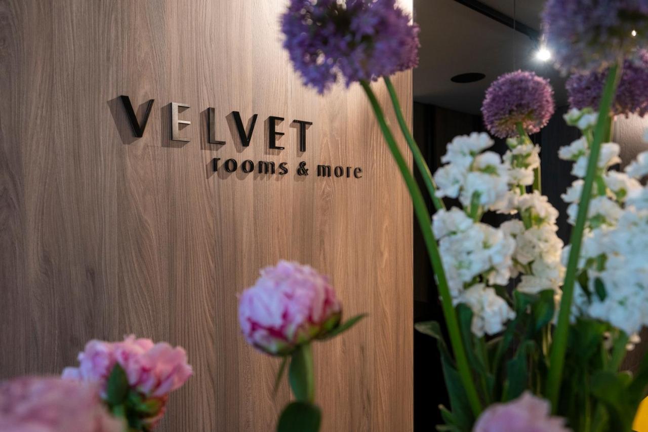 Velvet Rooms & More Ζαντάρ Εξωτερικό φωτογραφία